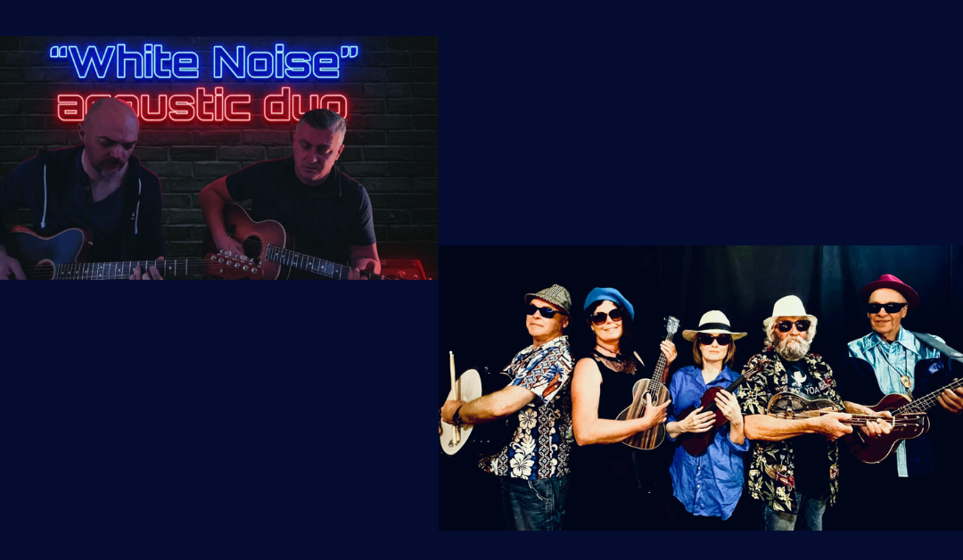 White Noise and Luemdillies Band Night