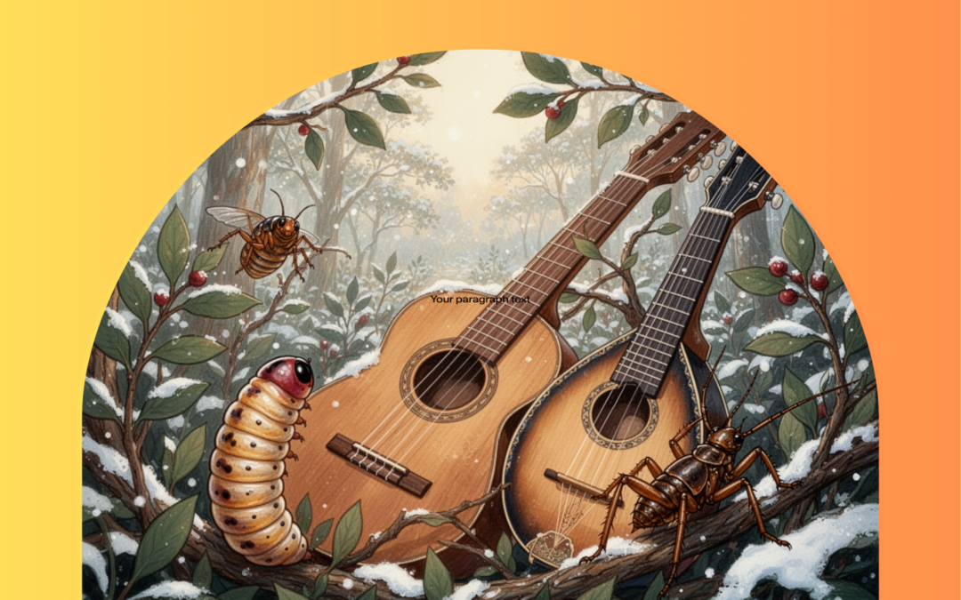 Waimate Winter Folk Festival 2026